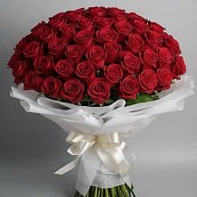 Букет 101 Красная роза Блэк Мэджик в Кривополянье