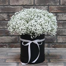 Цветочная композиция из Гипсофила в шляпной коробке #REPLACE_PRED# Кривополянье