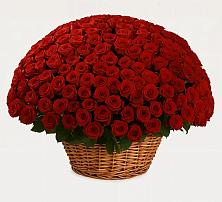 Премиум букет из: Розы в Кривополянье